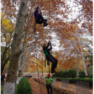 Pressespiegel zu unserem Georgienprojekt