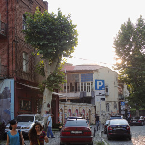 Situation und Perspektiven der Baumpflege in&nbsp;Georgien